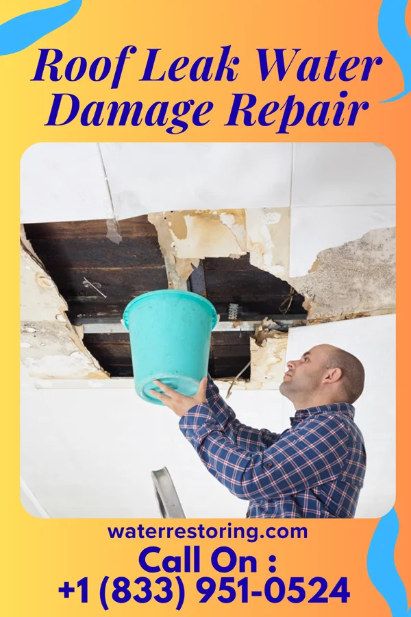 Roof Leak Water Damage Repair in Lincolnton, GA