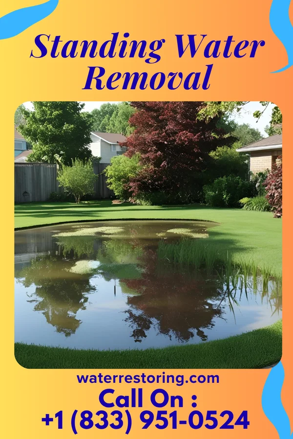 Standing Water Removal in Lincolnton, GA
